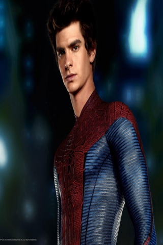 The Amazing Spiderman screenshot #1 320x480
