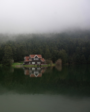 Screenshot №1 pro téma House On Lake In Turkey 176x220