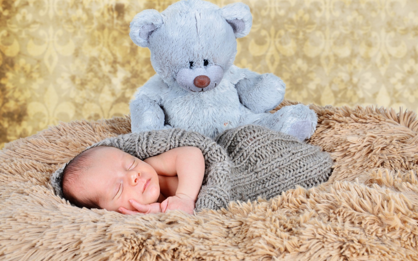 Baby And His Teddy wallpaper 1440x900