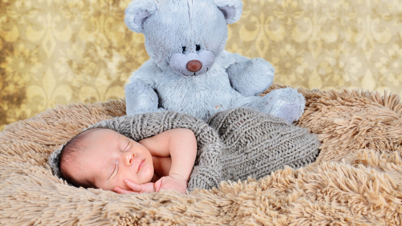 Fondo de pantalla Baby And His Teddy 1600x900