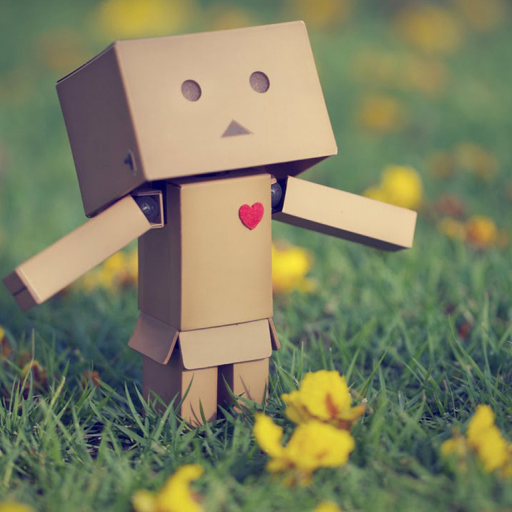 Fondo de pantalla Danbo In Love 1024x1024