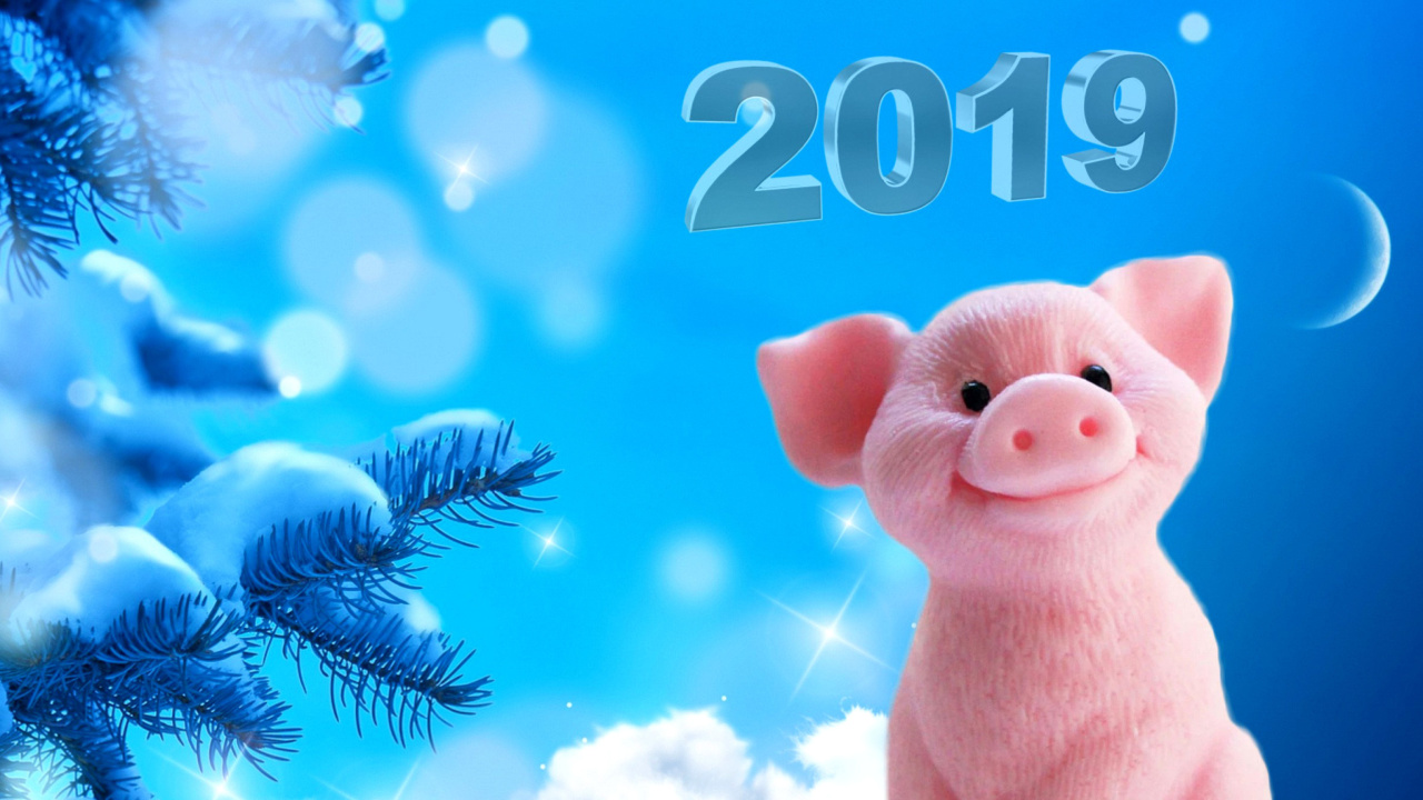 Das 2019 Pig New Year Chinese Calendar Wallpaper 1280x720