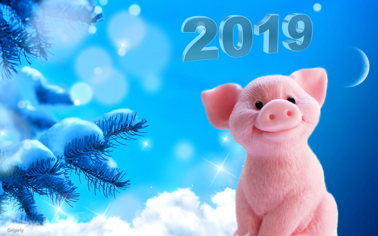Das 2019 Pig New Year Chinese Calendar Wallpaper 1280x800