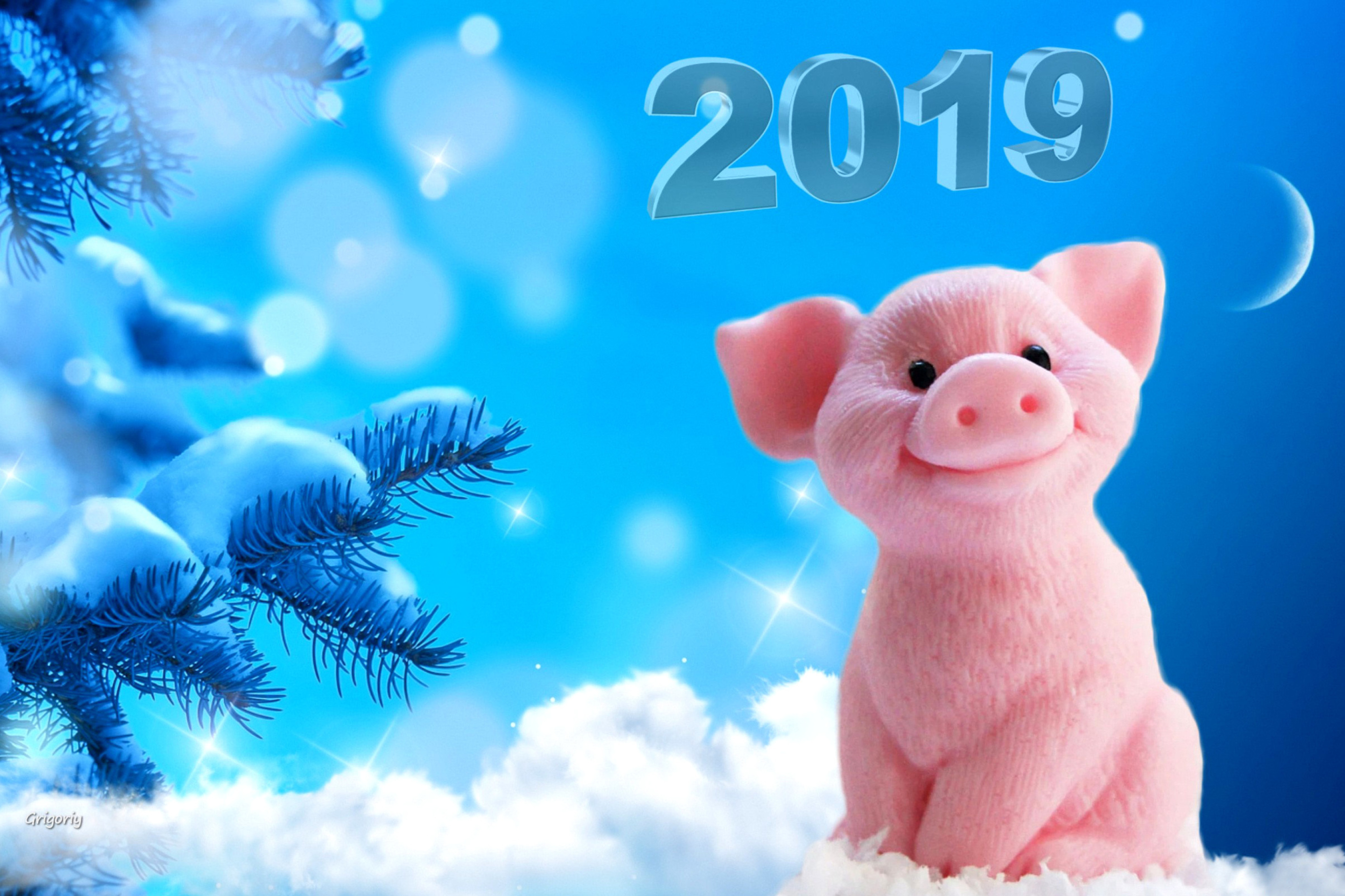 Sfondi 2019 Pig New Year Chinese Calendar 2880x1920