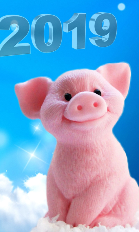 Обои 2019 Pig New Year Chinese Calendar 480x800