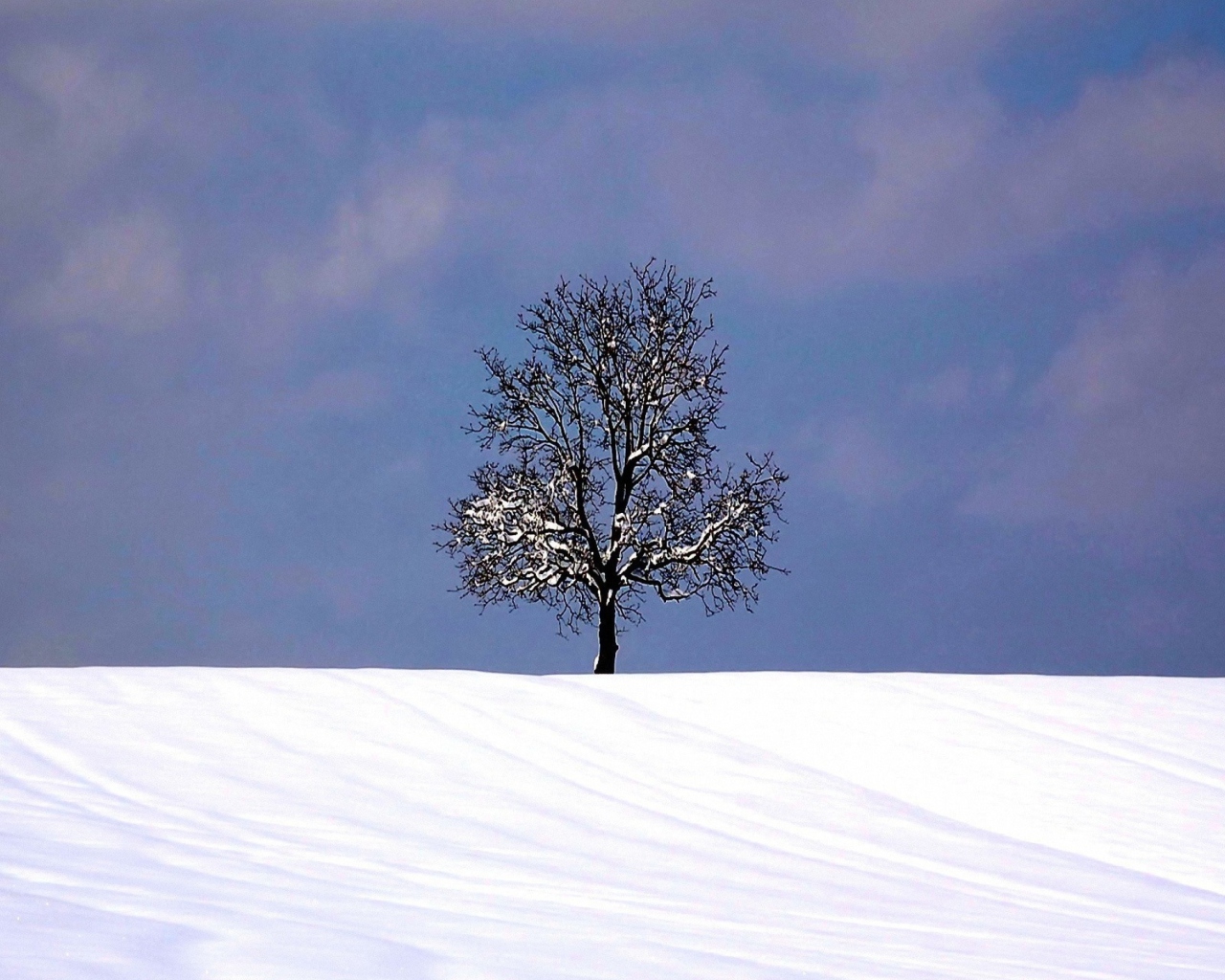 Screenshot №1 pro téma Tree And Snow 1280x1024