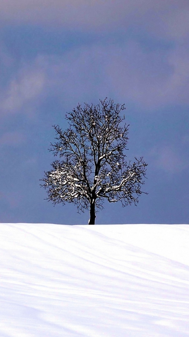 Das Tree And Snow Wallpaper 640x1136