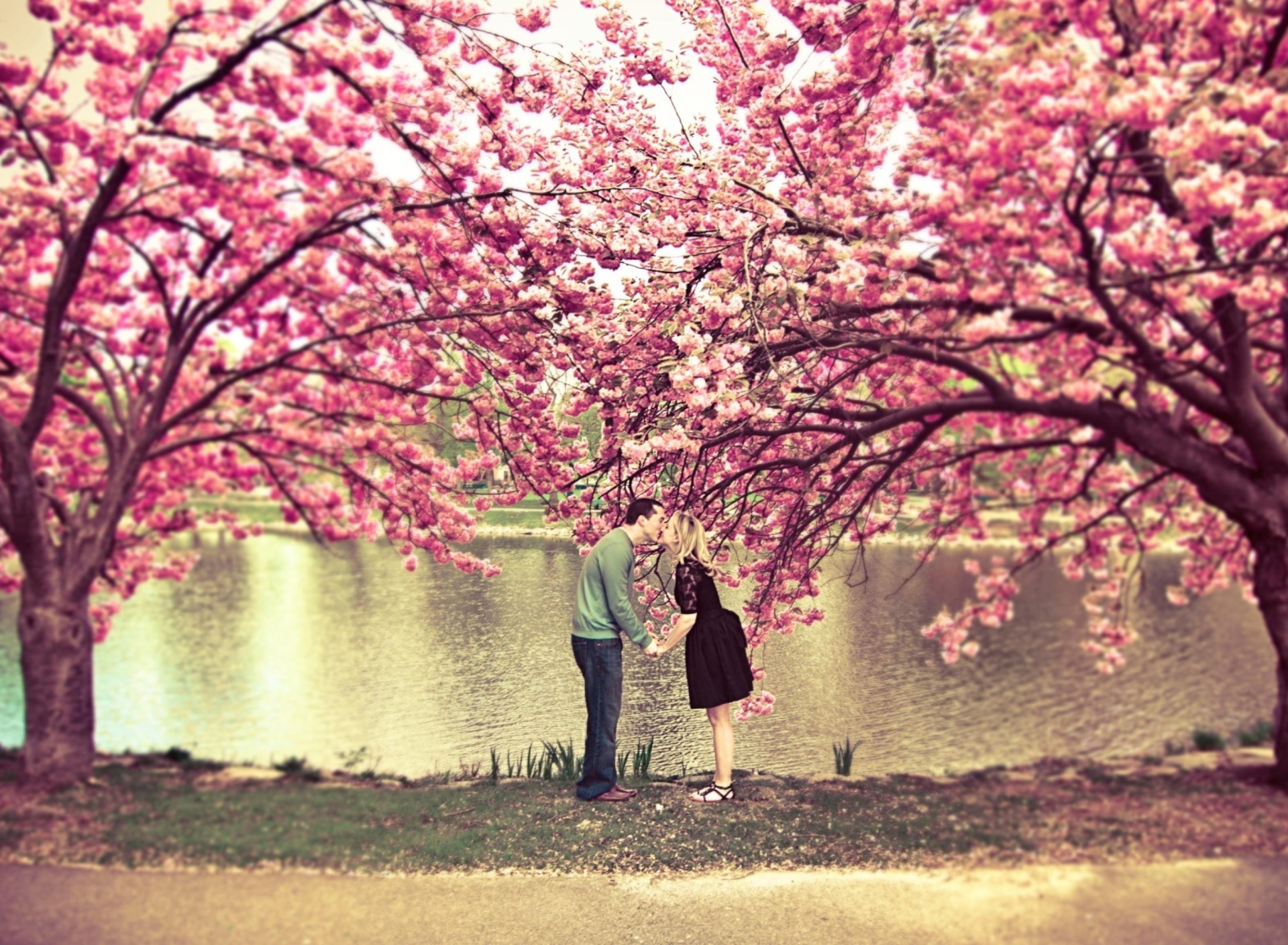 Fondo de pantalla Spring Love Has Come 1920x1408