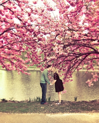 Spring Love Has Come - Obrázkek zdarma pro Nokia Asha 308