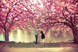Spring Love Has Come - Obrázkek zdarma pro Samsung Galaxy