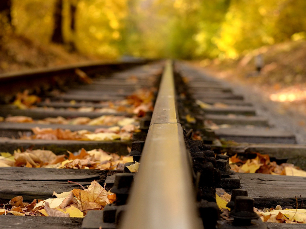 Sfondi Railway tracks in autumn 1024x768