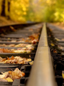 Screenshot №1 pro téma Railway tracks in autumn 132x176