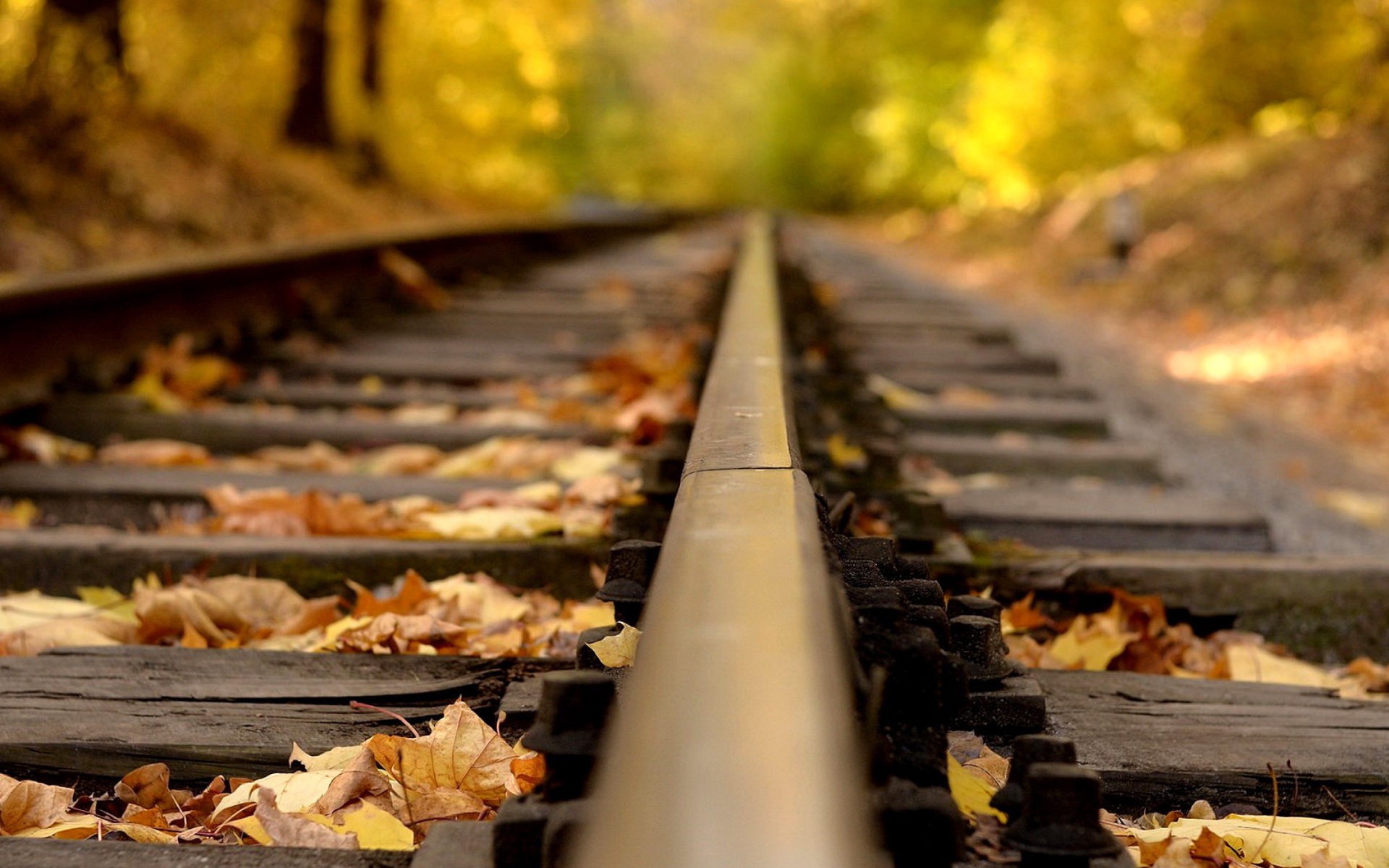 Fondo de pantalla Railway tracks in autumn 1920x1200