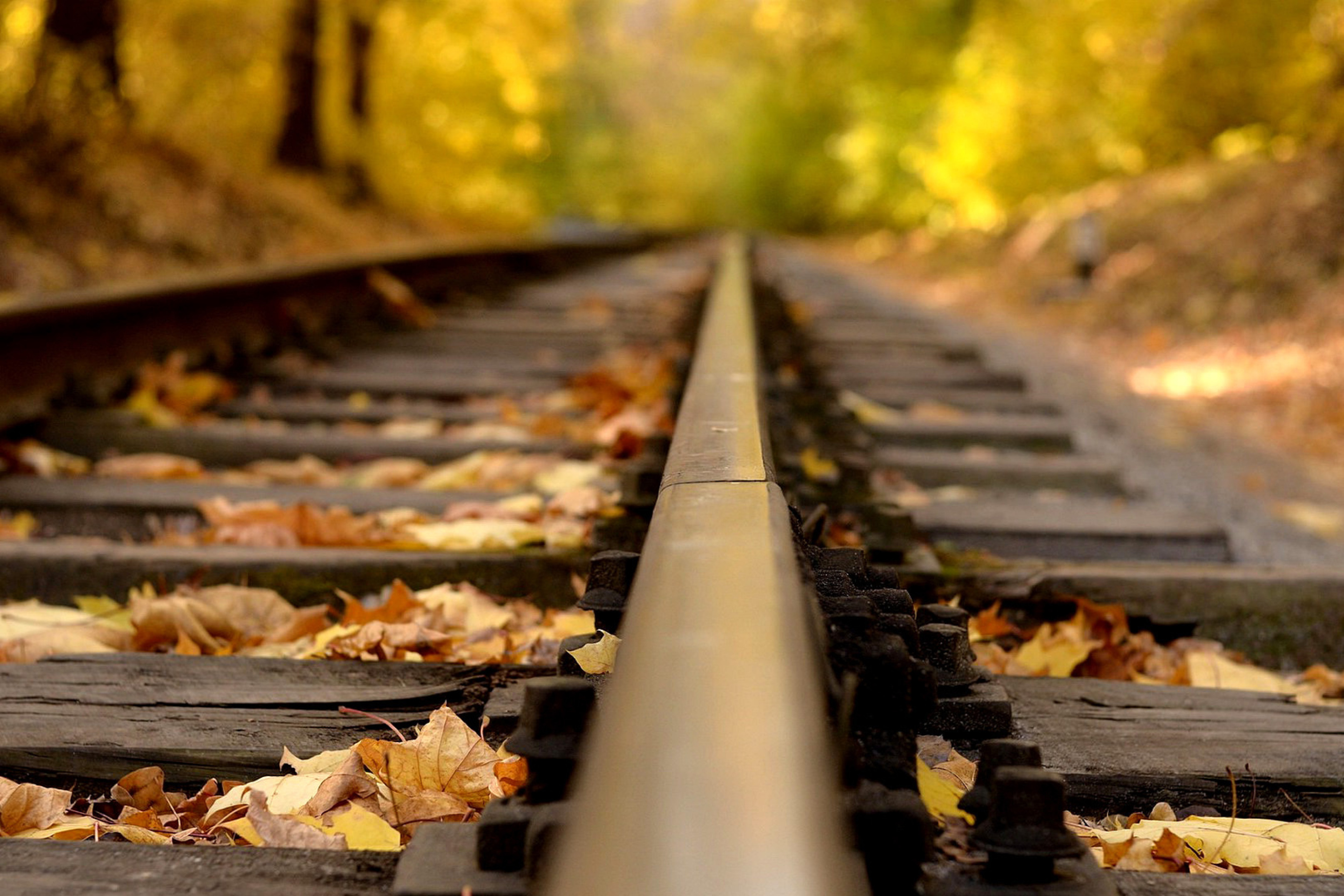 Sfondi Railway tracks in autumn 2880x1920