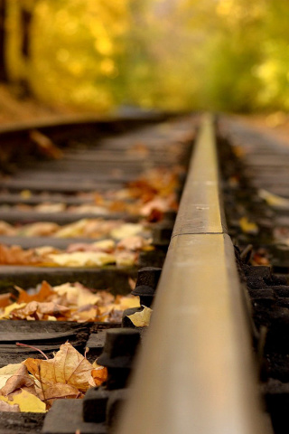 Обои Railway tracks in autumn 320x480