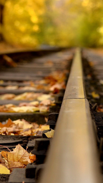 Fondo de pantalla Railway tracks in autumn 360x640