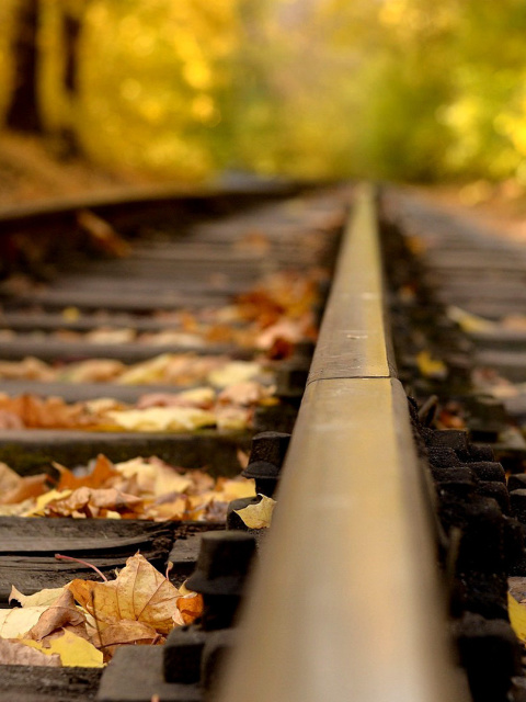 Railway tracks in autumn wallpaper 480x640