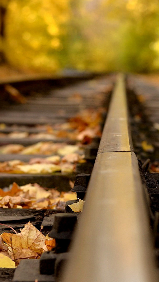 Railway tracks in autumn wallpaper 640x1136