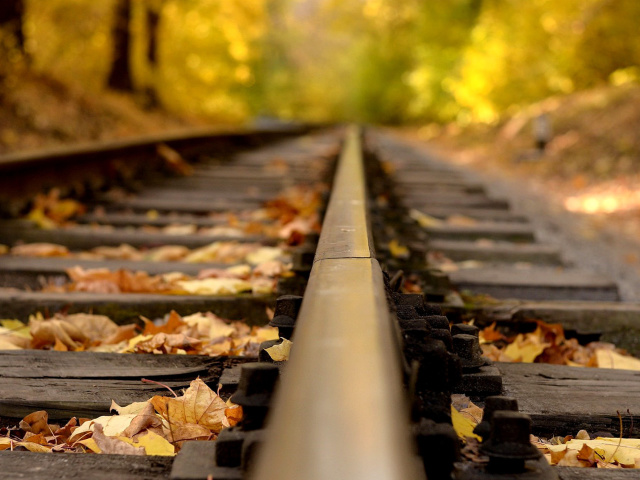 Railway tracks in autumn wallpaper 640x480