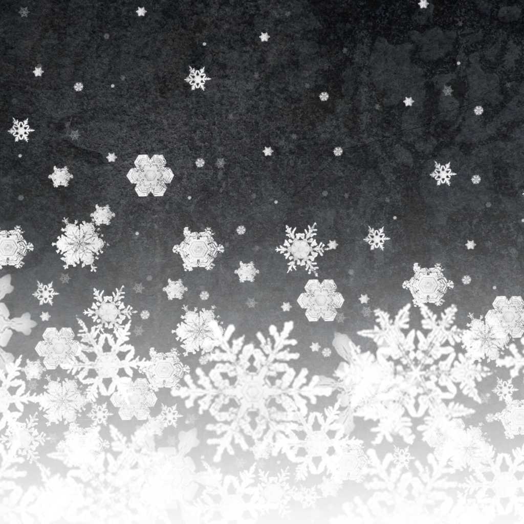 Обои Snowflakes 1024x1024