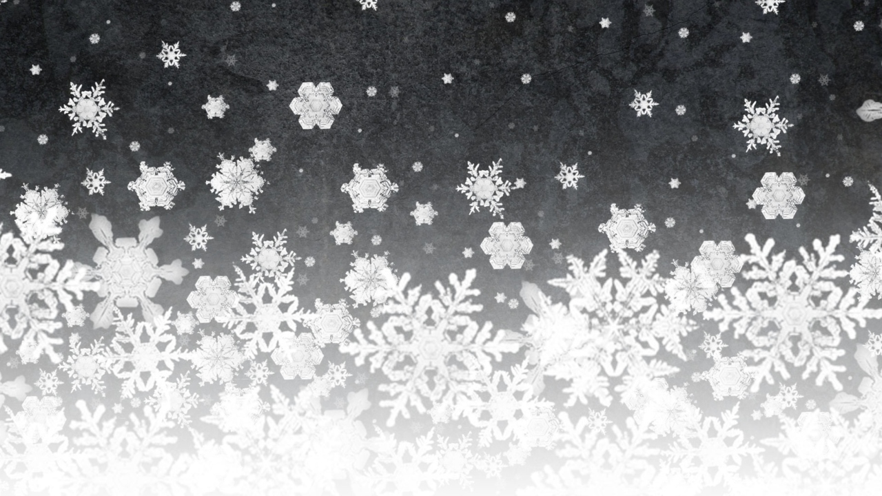 Fondo de pantalla Snowflakes 1280x720