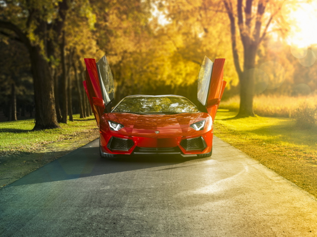 Обои Red Lamborghini Aventador 640x480