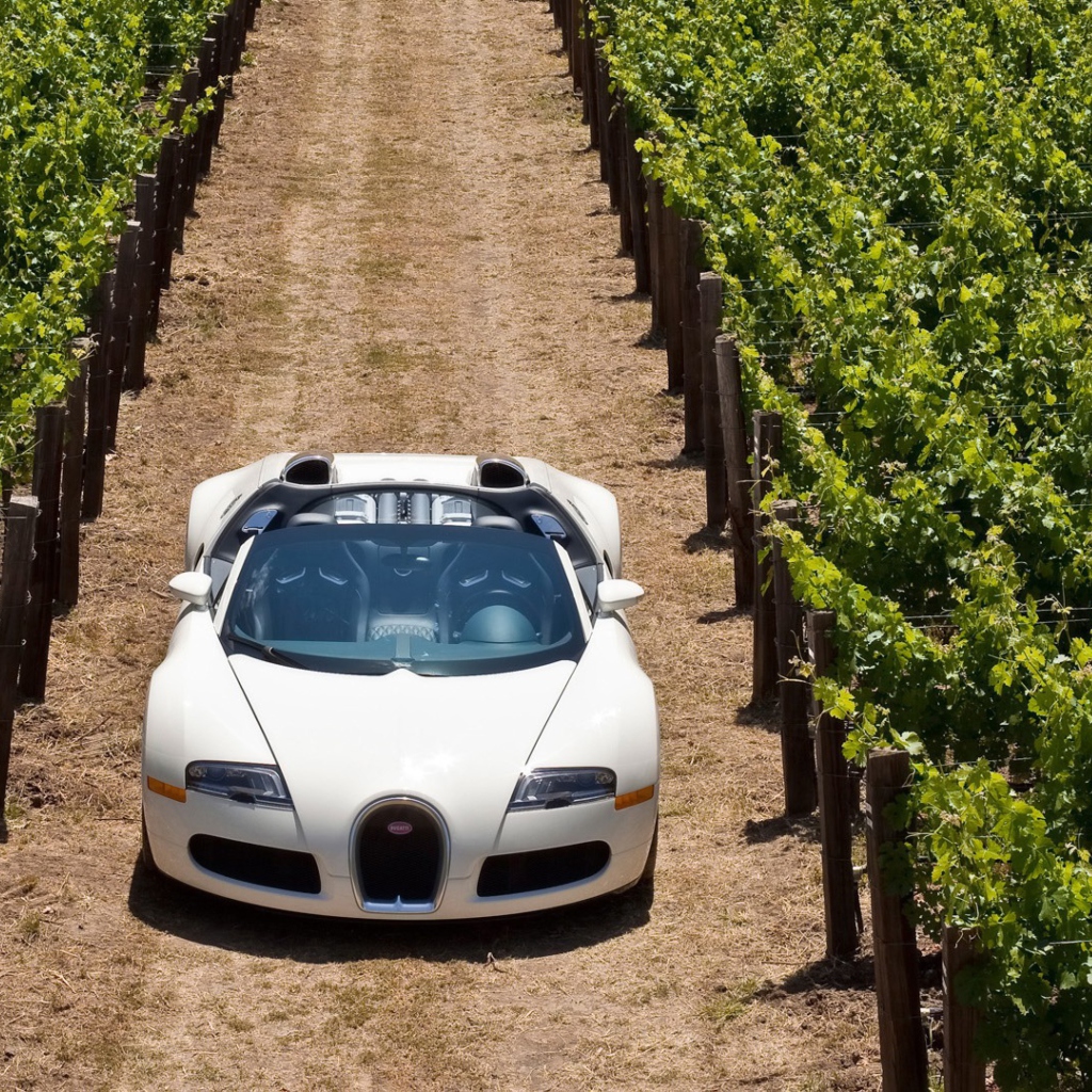 Das Bugatti Veyron In Vineyard Wallpaper 1024x1024