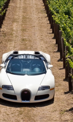 Das Bugatti Veyron In Vineyard Wallpaper 240x400