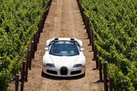Screenshot №1 pro téma Bugatti Veyron In Vineyard 480x320