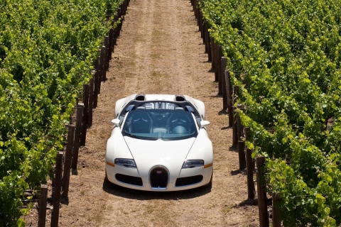 Das Bugatti Veyron In Vineyard Wallpaper 480x320