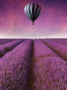 Air Balloon Above Lavender Field screenshot #1 132x176