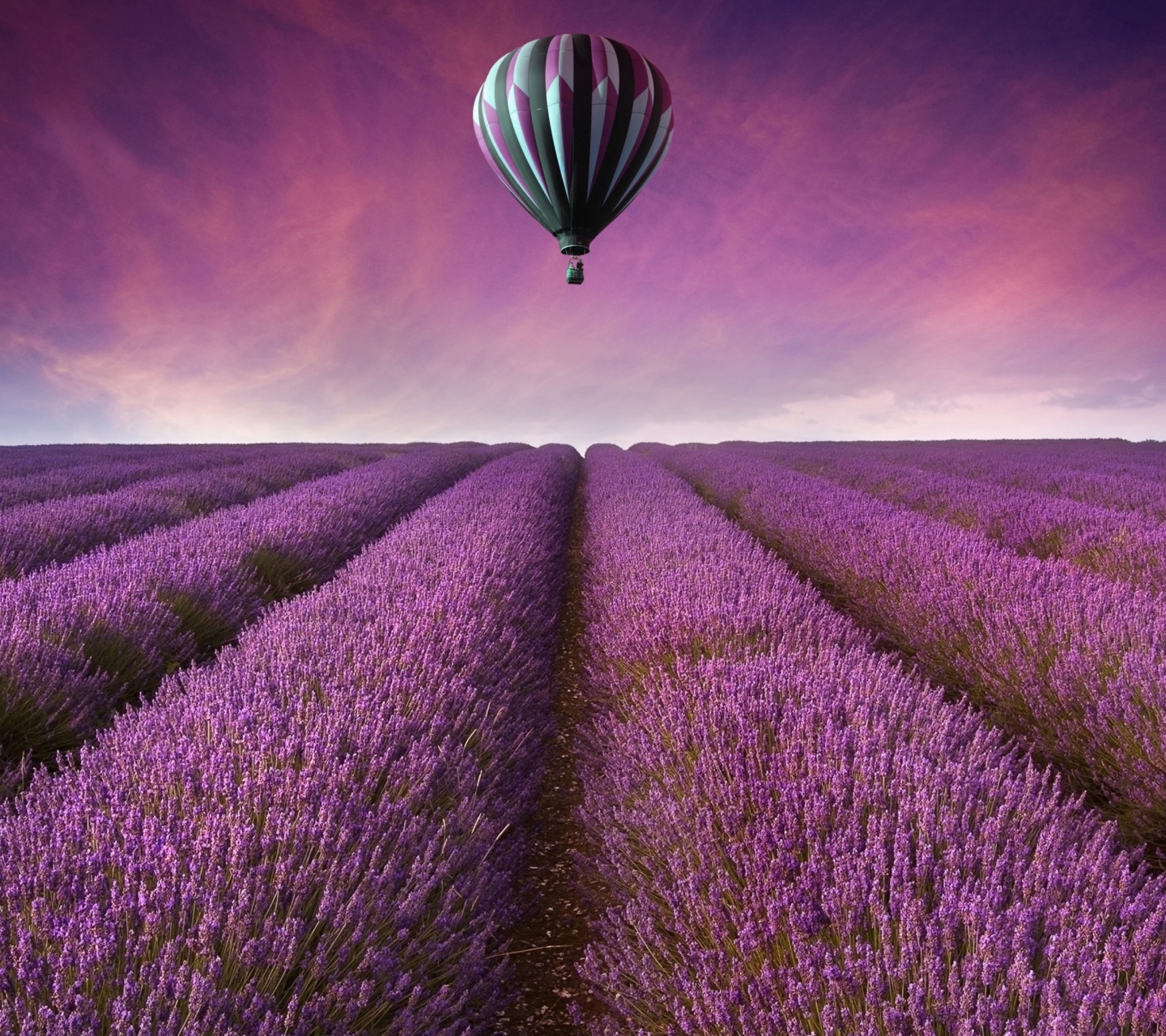 Air Balloon Above Lavender Field screenshot #1 1440x1280