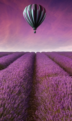 Air Balloon Above Lavender Field wallpaper 240x400