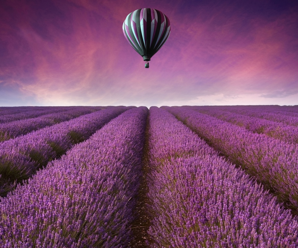 Fondo de pantalla Air Balloon Above Lavender Field 960x800
