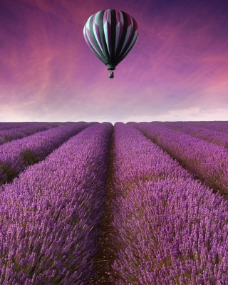 Air Balloon Above Lavender Field - Obrázkek zdarma pro 132x176