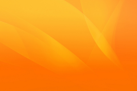 Screenshot №1 pro téma Warm orange petals 480x320