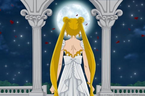 Screenshot №1 pro téma Sailormoon 480x320