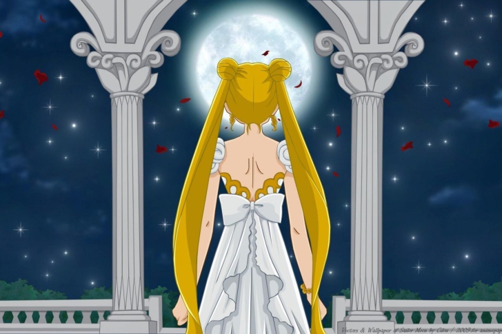 Screenshot №1 pro téma Sailormoon