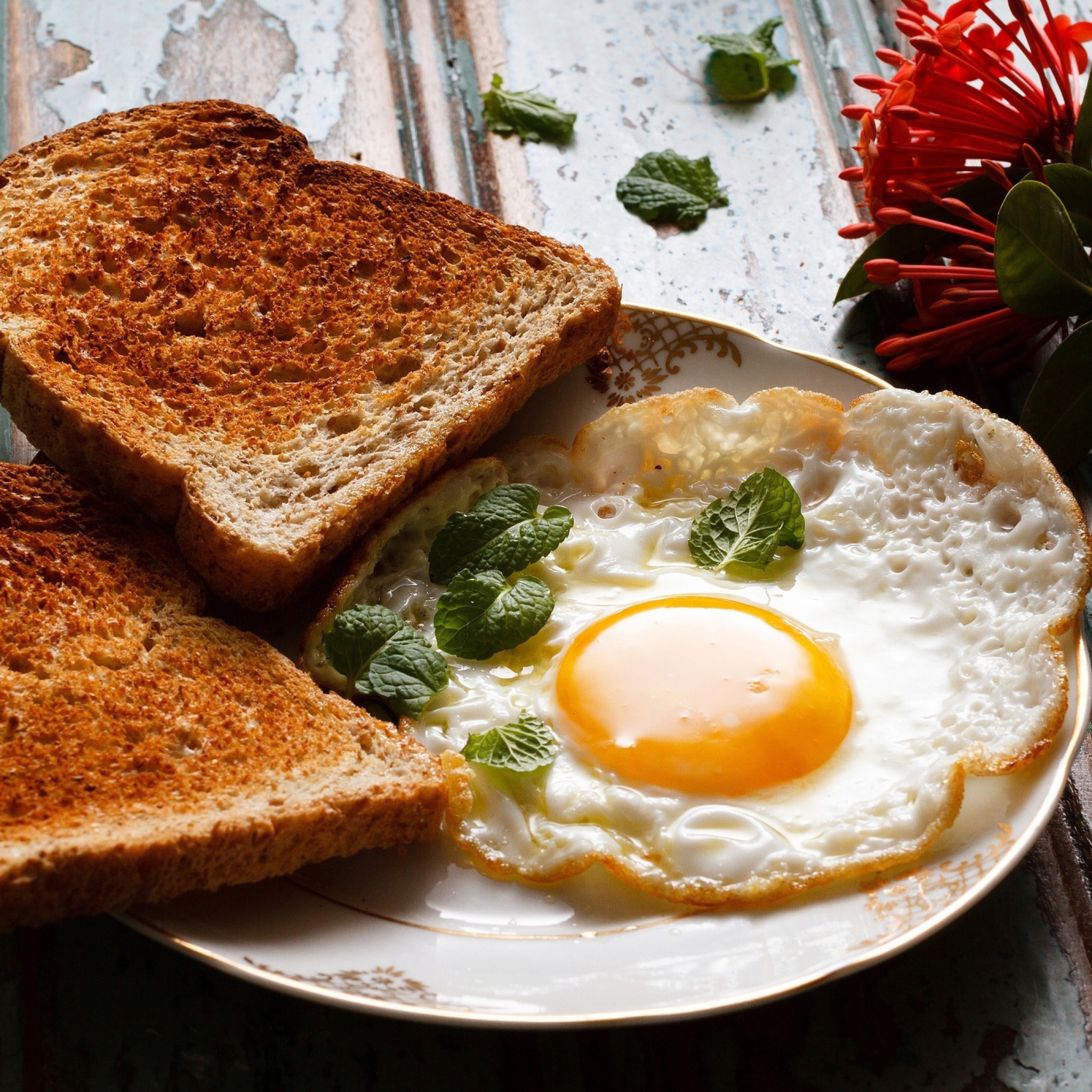 Breakfast eggs and toast wallpaper 2048x2048