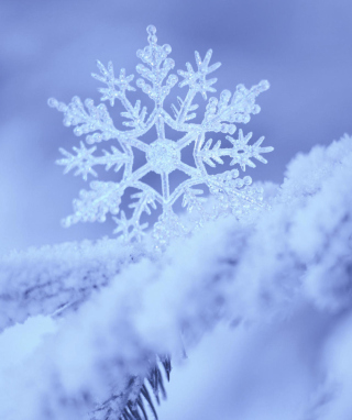 Snowy Filigree - Obrázkek zdarma pro 640x1136