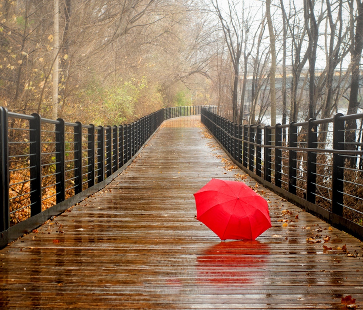 Sfondi Red Umbrella In Rainy Day 1200x1024