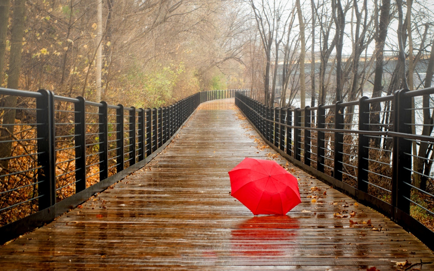 Red Umbrella In Rainy Day wallpaper 1440x900