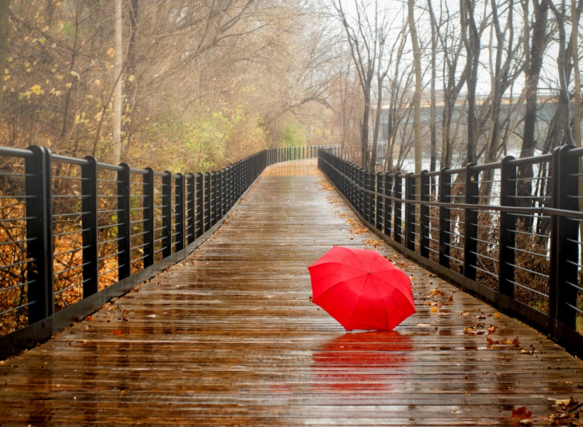 Screenshot №1 pro téma Red Umbrella In Rainy Day 1920x1408