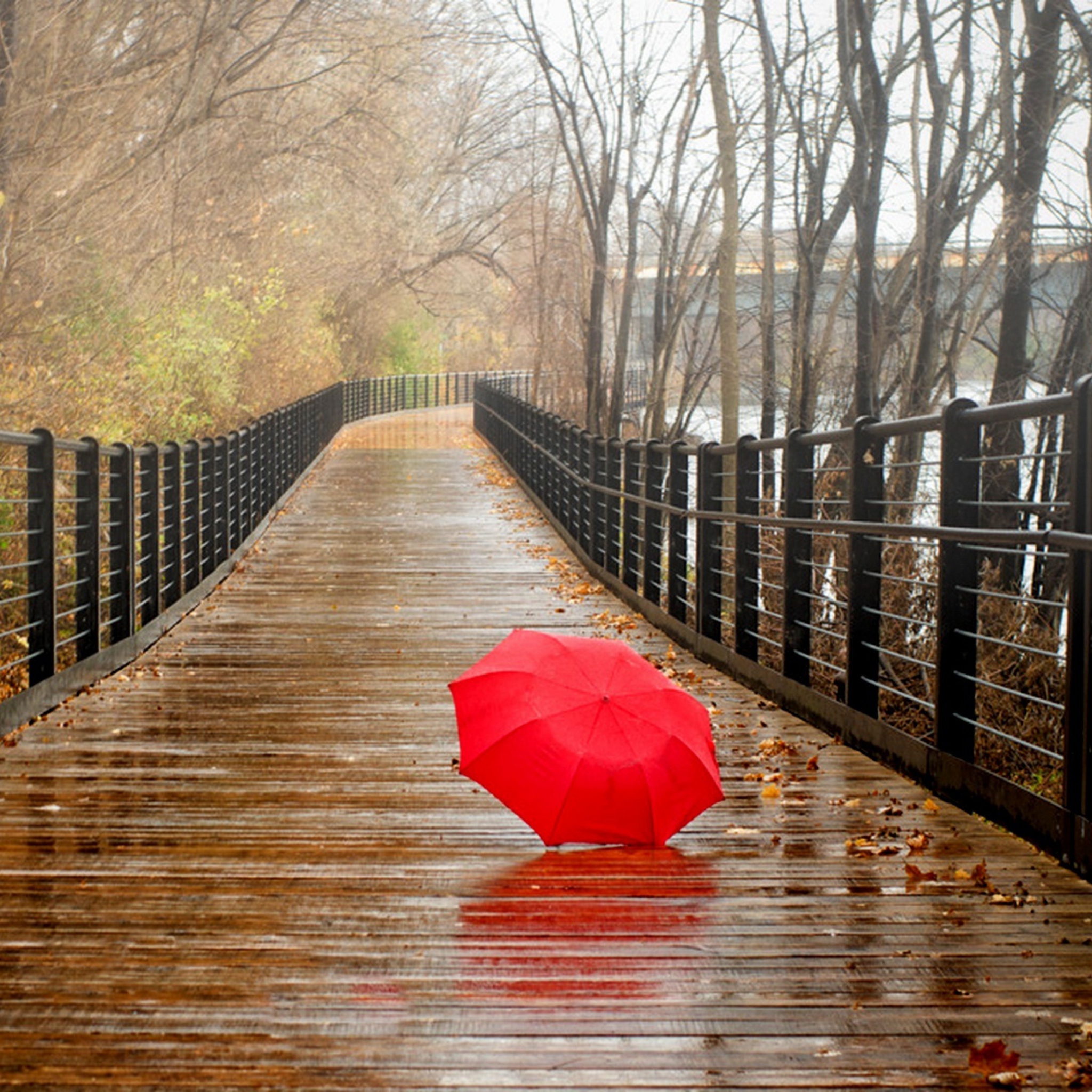 Screenshot №1 pro téma Red Umbrella In Rainy Day 2048x2048