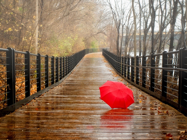 Fondo de pantalla Red Umbrella In Rainy Day 640x480