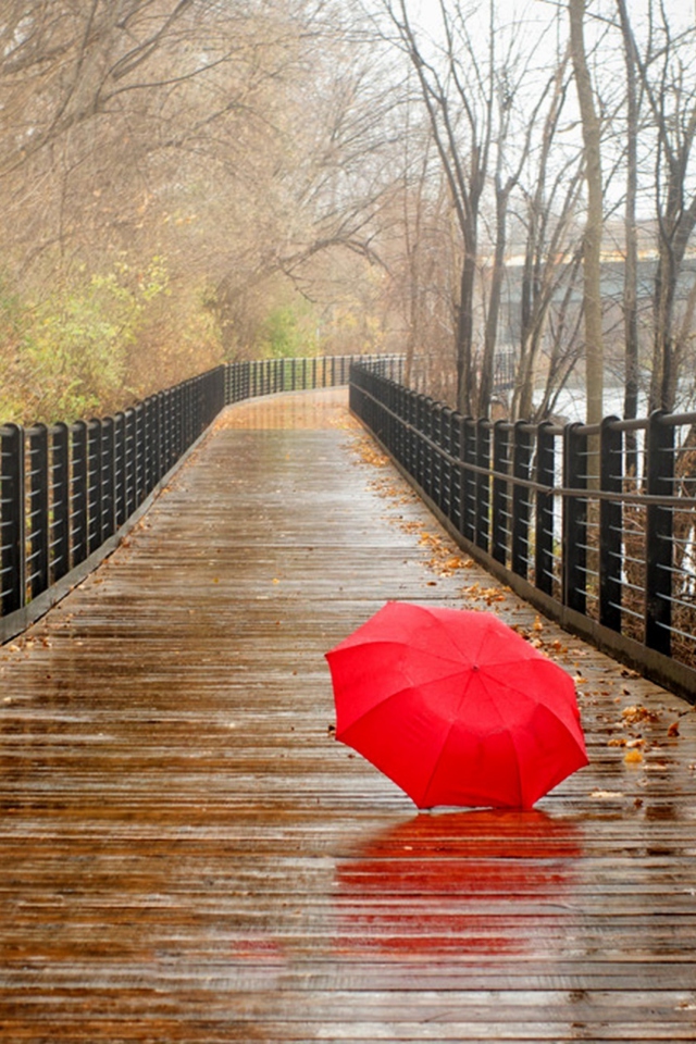 Screenshot №1 pro téma Red Umbrella In Rainy Day 640x960