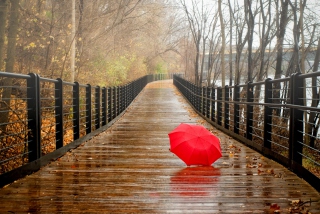 Red Umbrella In Rainy Day - Obrázkek zdarma 