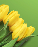 Fondo de pantalla Yellow Tulips 128x160