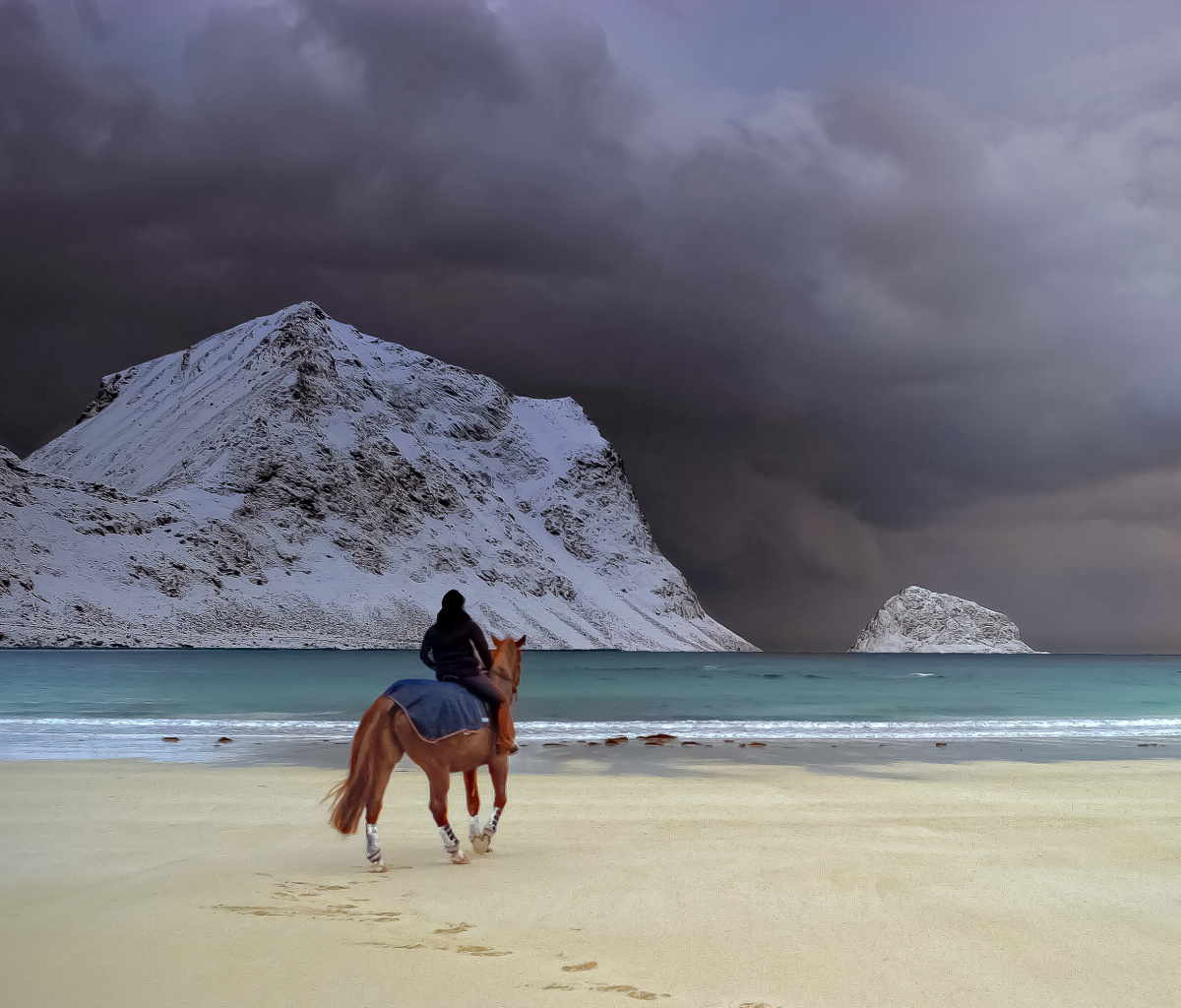 Обои Horse on beach 1200x1024