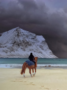 Das Horse on beach Wallpaper 132x176